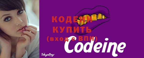 бошки Дмитриев