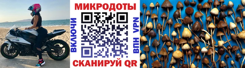 Псилоцибиновые грибы Magic Shrooms  Купить закладки  Шуя 