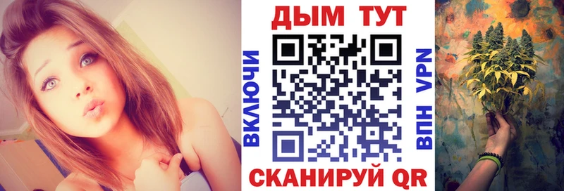Конопля план  Купить  Шуя 